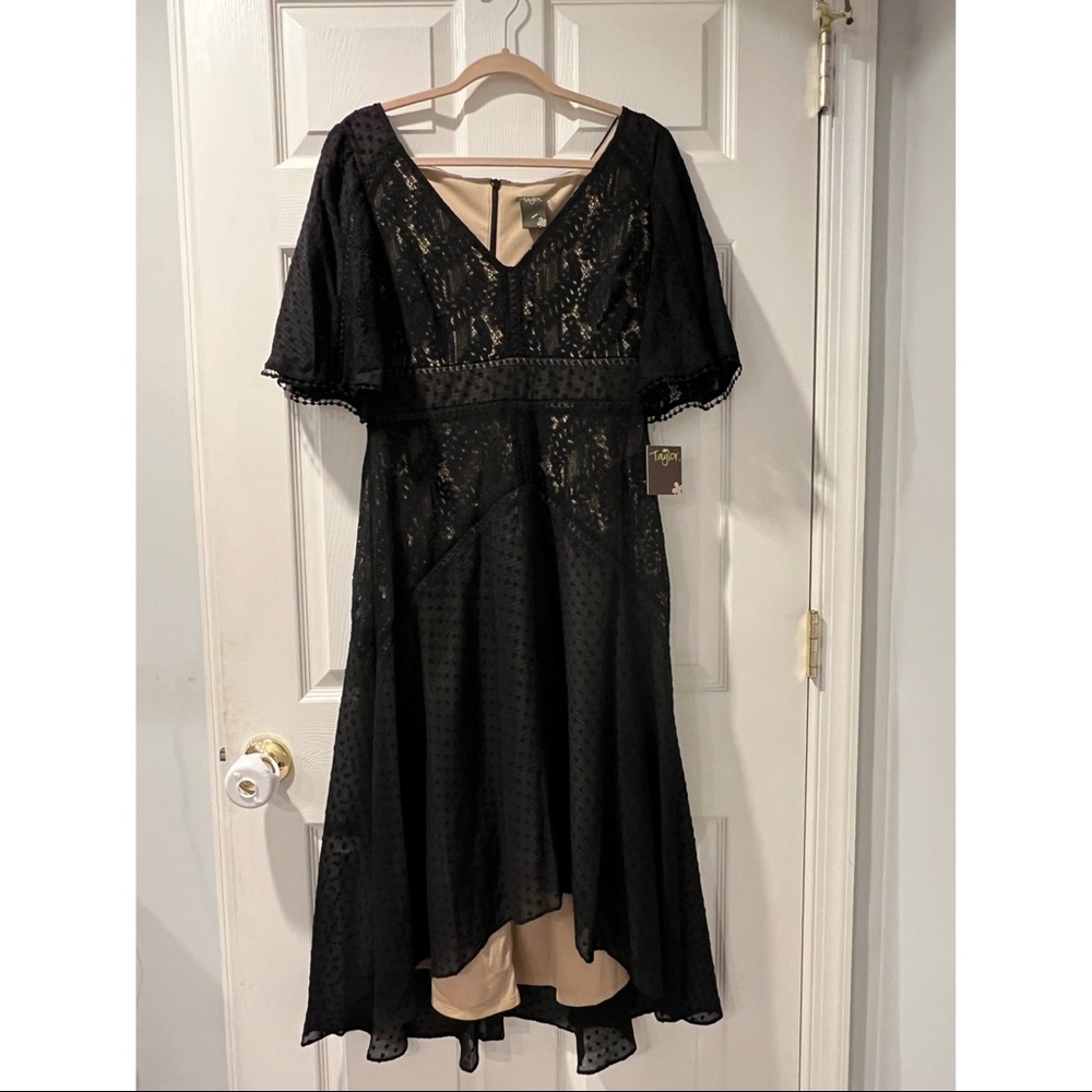 Taylor Brand Asymmetrical Calf Length Lace  Cocktail Dress
